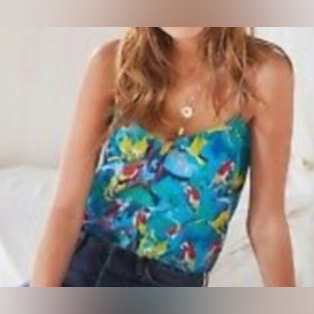 Sezane Blue and Green Camisole